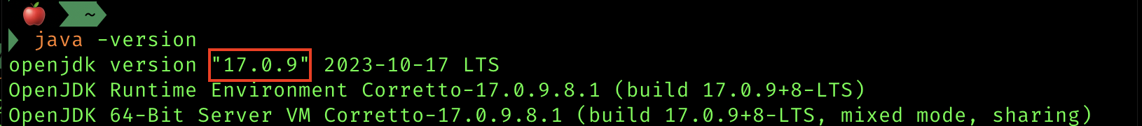 로컬 pc 자바버전 확인
