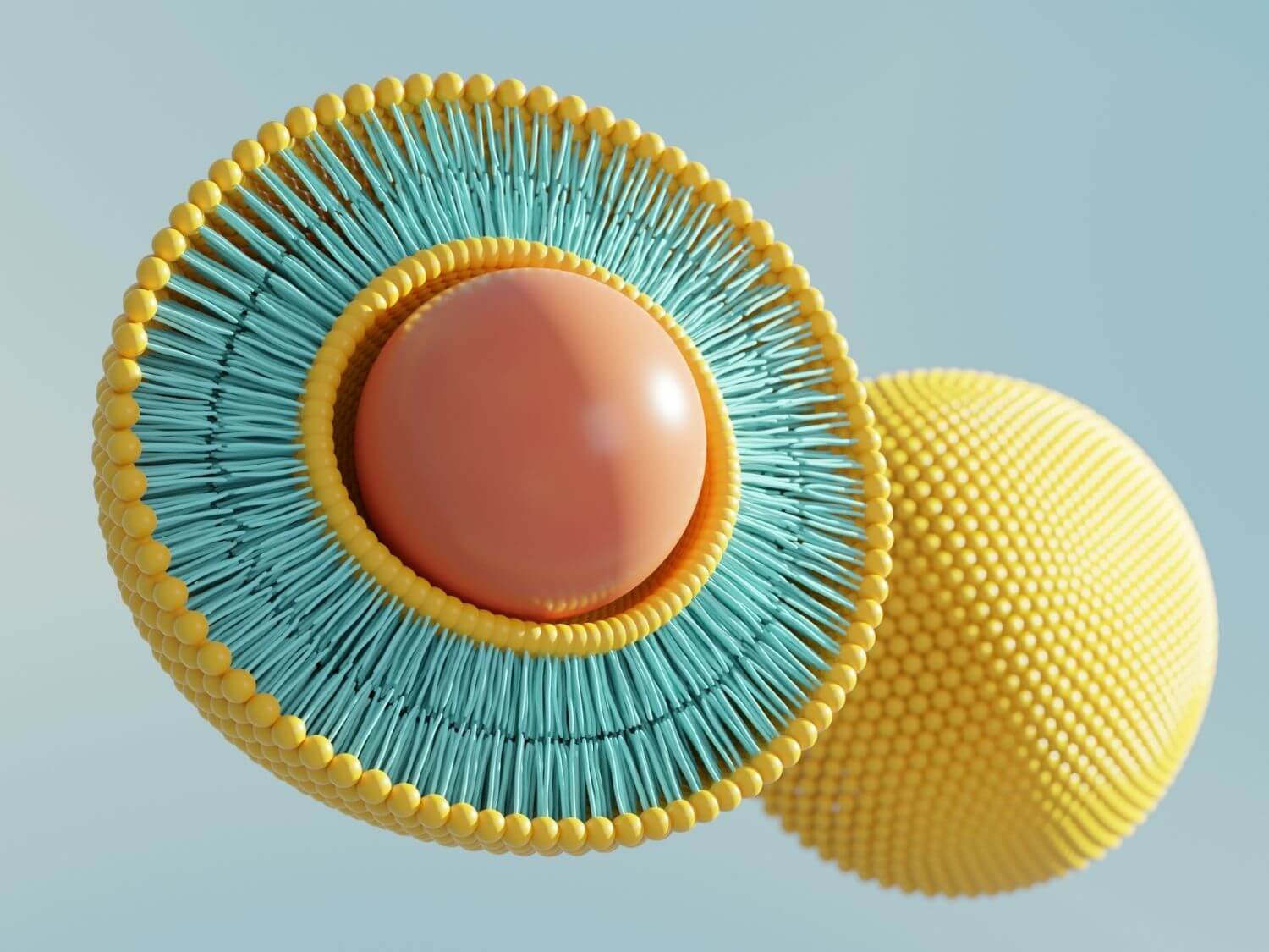 리포좀 비타민c