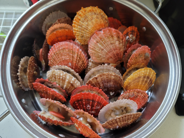 비단가리비 찌는 방법