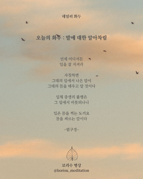 환희지의 보리수 명상 : Day 7 화두 : 말에 대한 알아차림