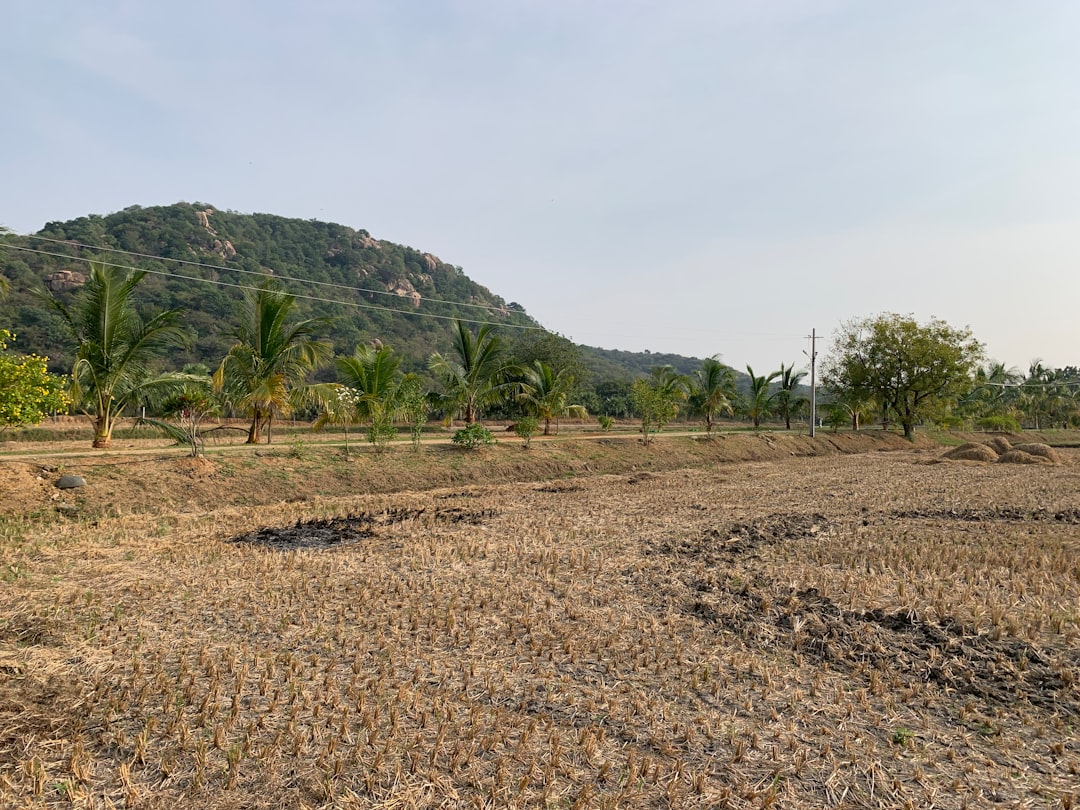 Land use