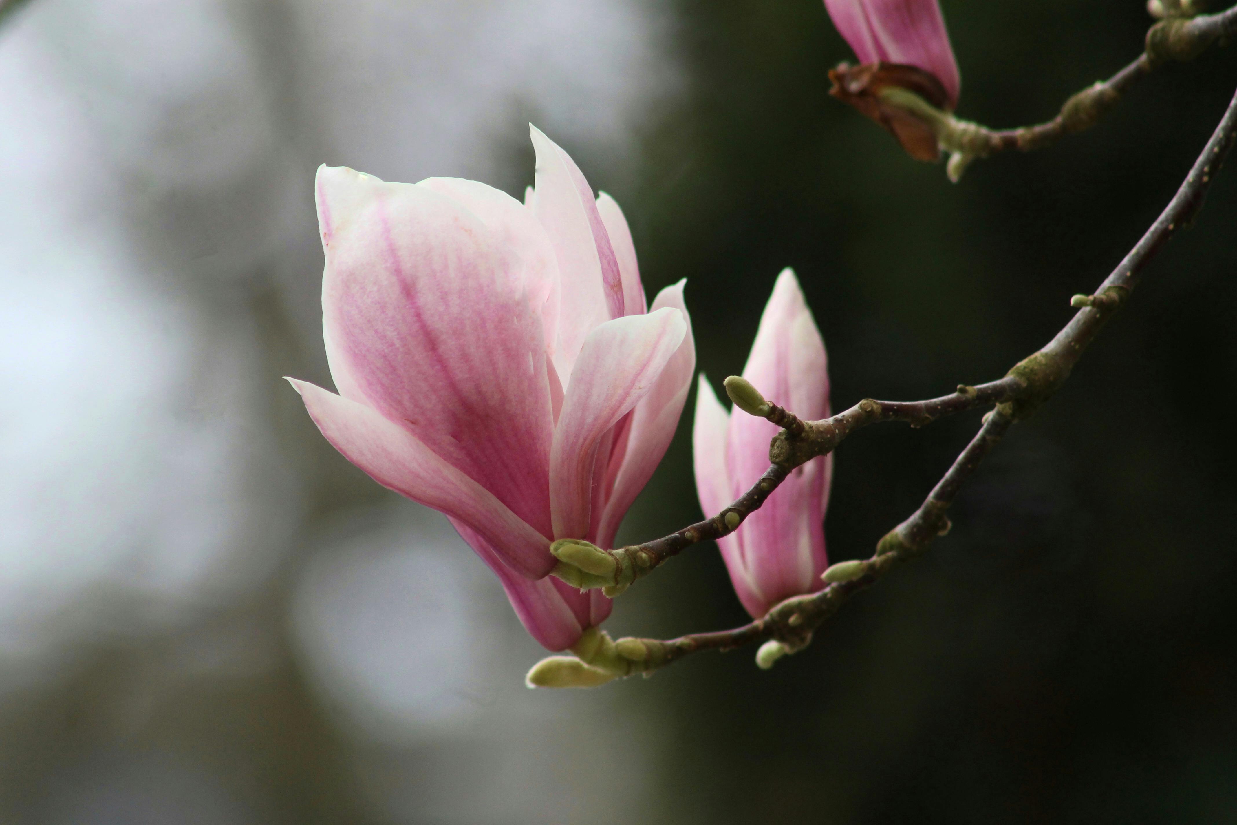 2025년 8월 14일 띠별 운세 - 오늘의 길흉과 조언 _용띠&amp;#44;뱀띠&amp;#44;말띠&amp;#44;양띠