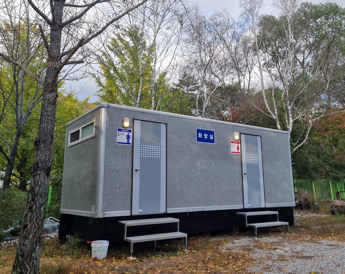 강원도 홍천 은행나무숲 방문 후기(10.23.): 단풍 확인 팁, 먹거리, 숙박