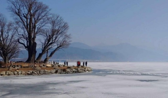 경기도 봄꽃명소