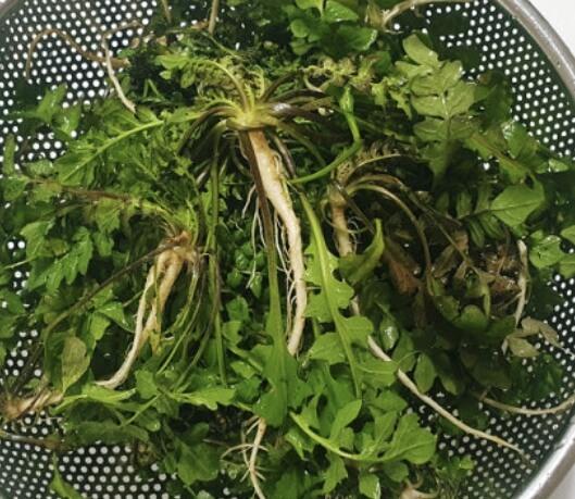 냉이된장국 끓이는법