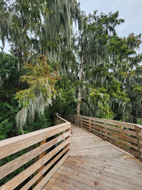 Boardwalk entrance to Palm Island Park in Mount Dora