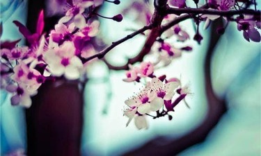 대사증후군(당뇨병, 지질 대사 장애, 고혈압, 복부비만 등) 이 분야 장인이 알려주는 경향 알아보기