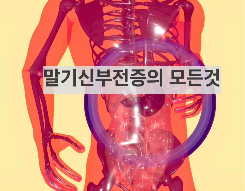 말기신부전증의 모든것