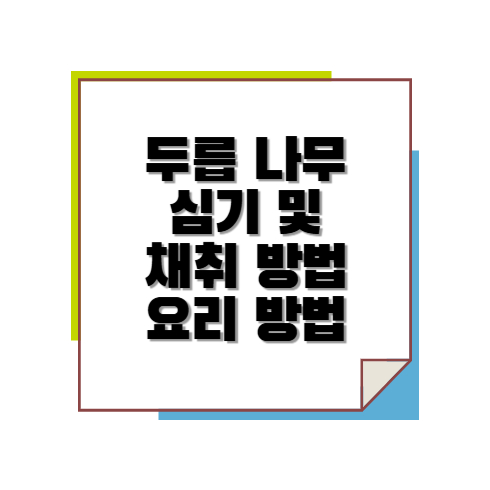 두릅 나무 심기 및 채취 방법 요라 방법