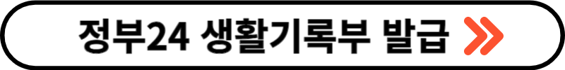정부24 생기부