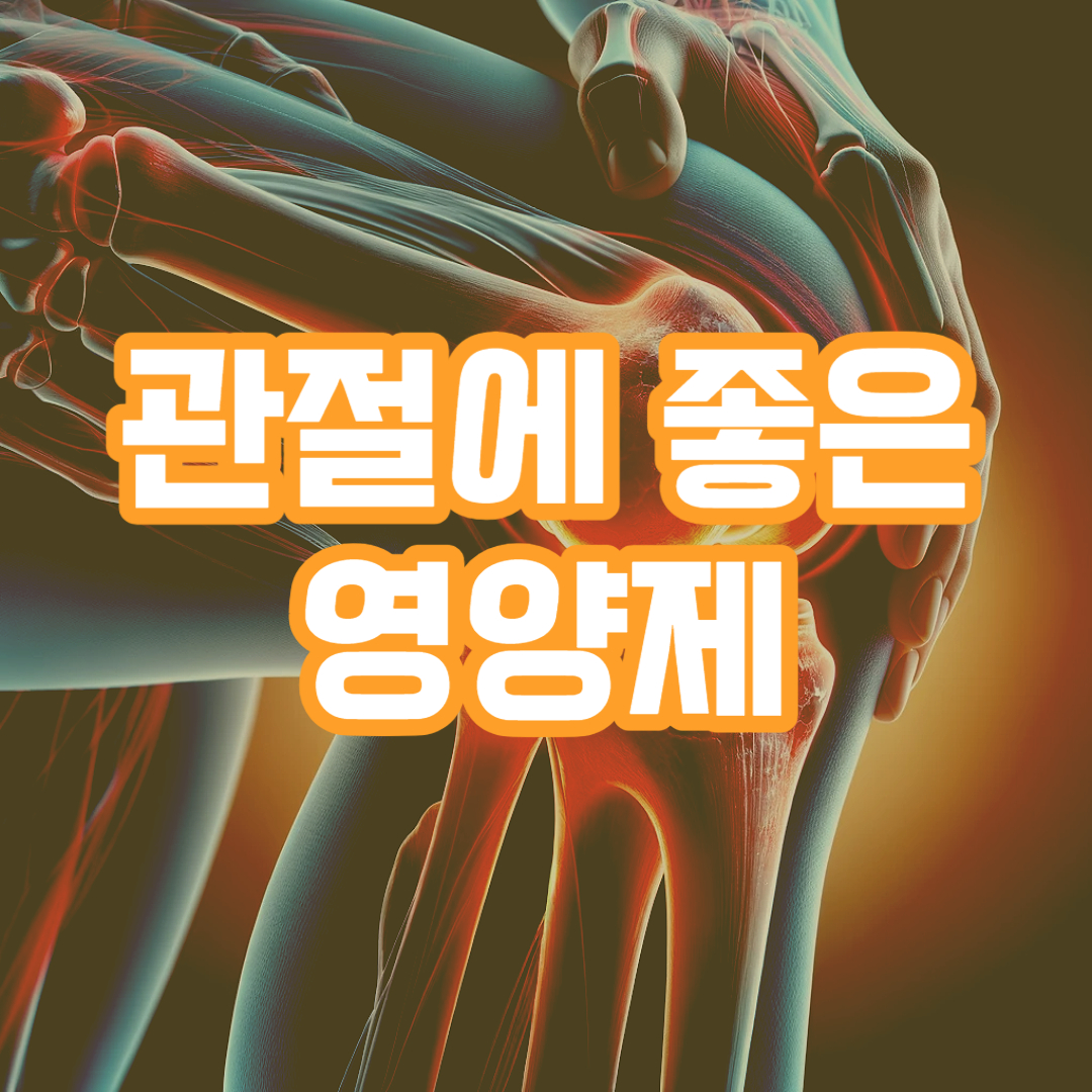 관절에 좋은 영양제