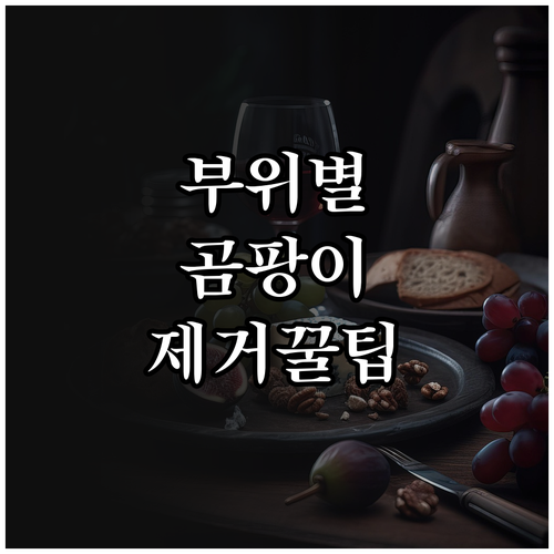 결로 곰팡이 없애는 부위별 맞춤 제거..