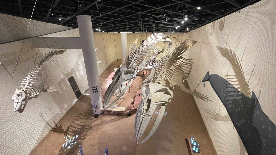 장항 국립해양생물자원관 씨큐리움