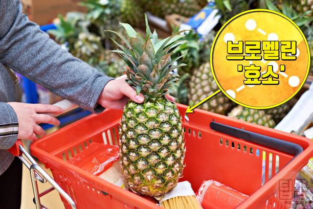 파인애플 먹고 혀가 아파요,혓바늘