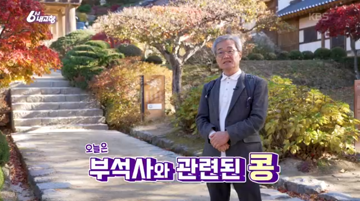 부석태 (6시내고향 k맛있을지도)