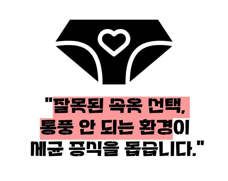 질염 증상 원인