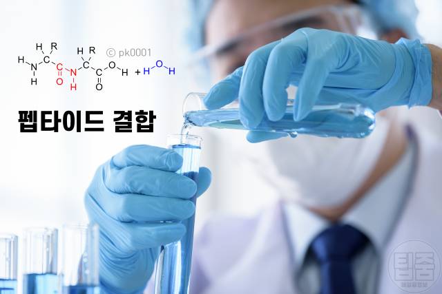 고구마 삶은물 다이어트 효능
