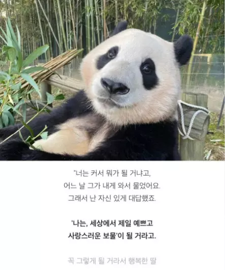 송바오 너는 커서 무엇이 될거야