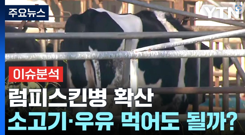 럼피스킨병