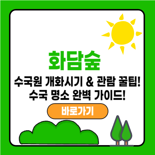 화담숲 수국원 개화시기 & 관람 꿀팁! 수국 명소 완벽 가이드