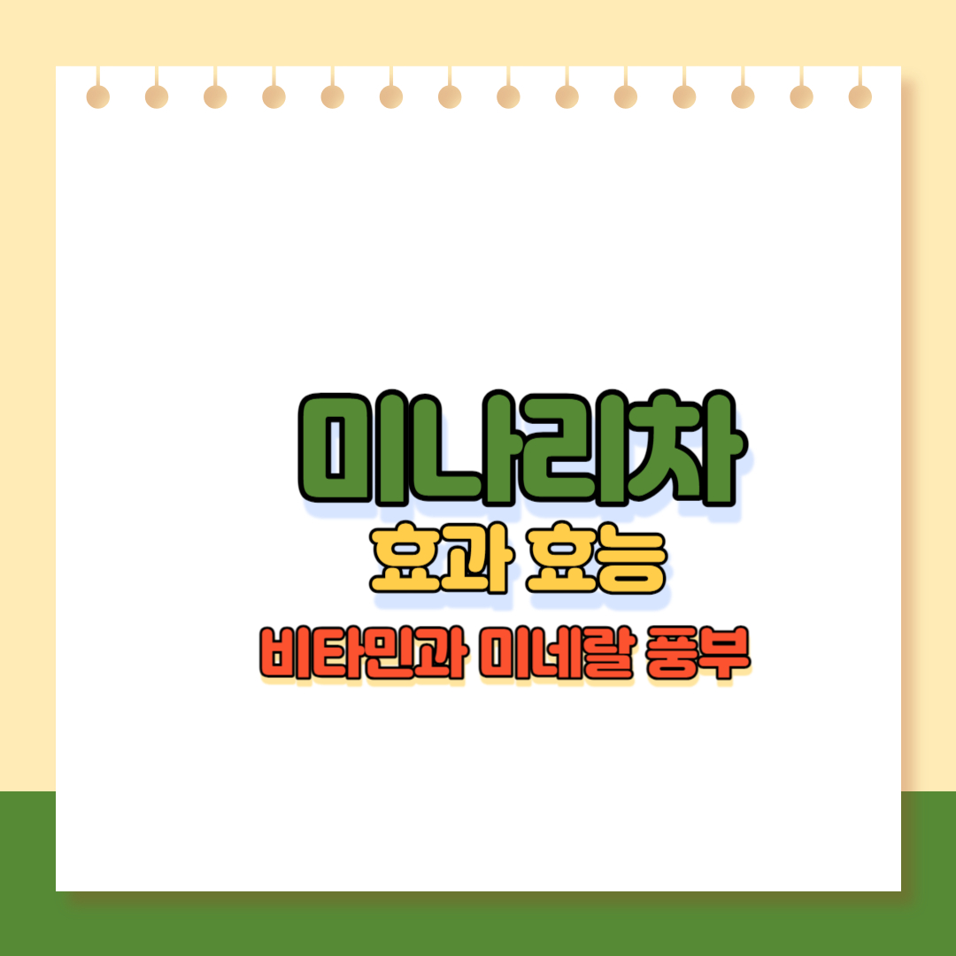 미나리차 효과효능