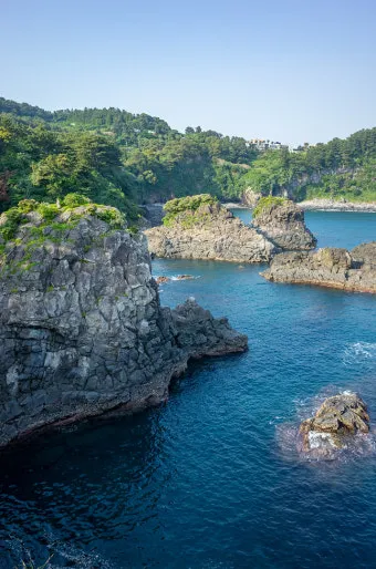 제주 서귀포 카페 추천 디저트 맛집과 뷰 맛집 정리_3