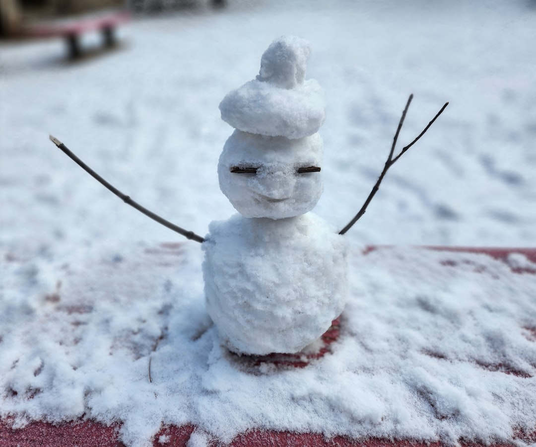 Winter School