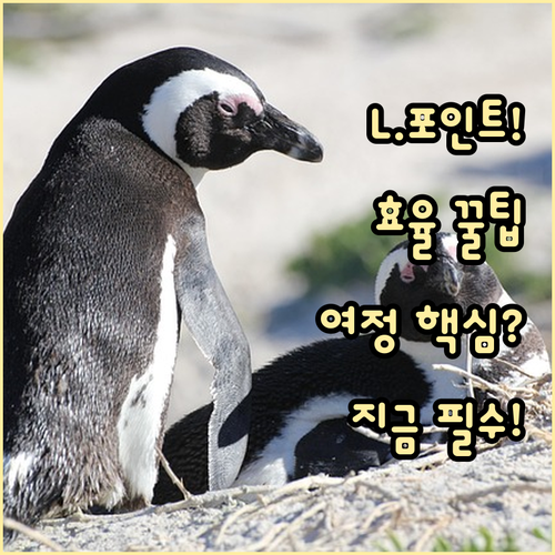디지털 환경에서 L.POINT를 활용..