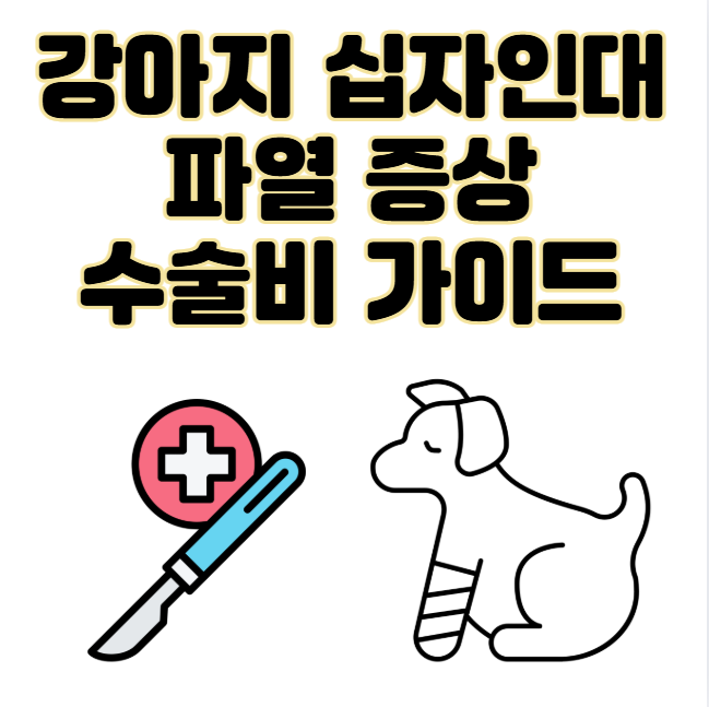 강아지 십자인대 파열 증상, 수술비 총정리