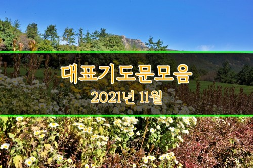 11월 대표 기도문 모음