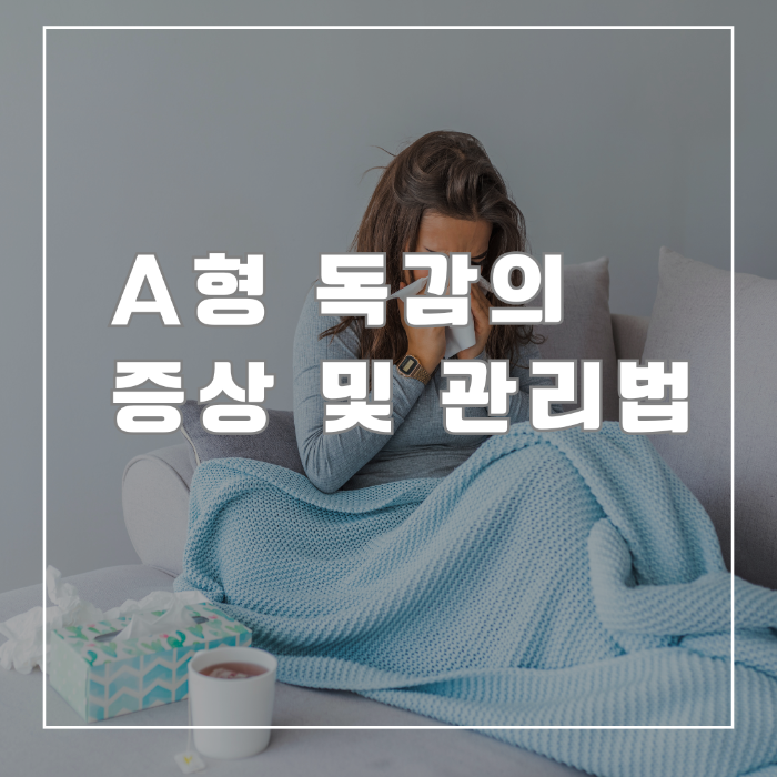 A형 독감의 증상및 관리법