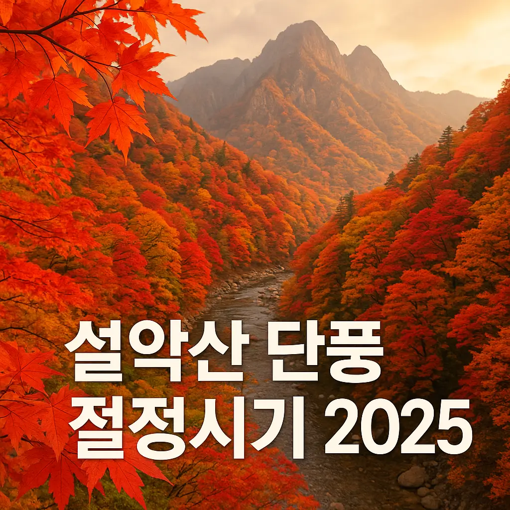 설악산 단풍절정시기 2025 이미지 사진