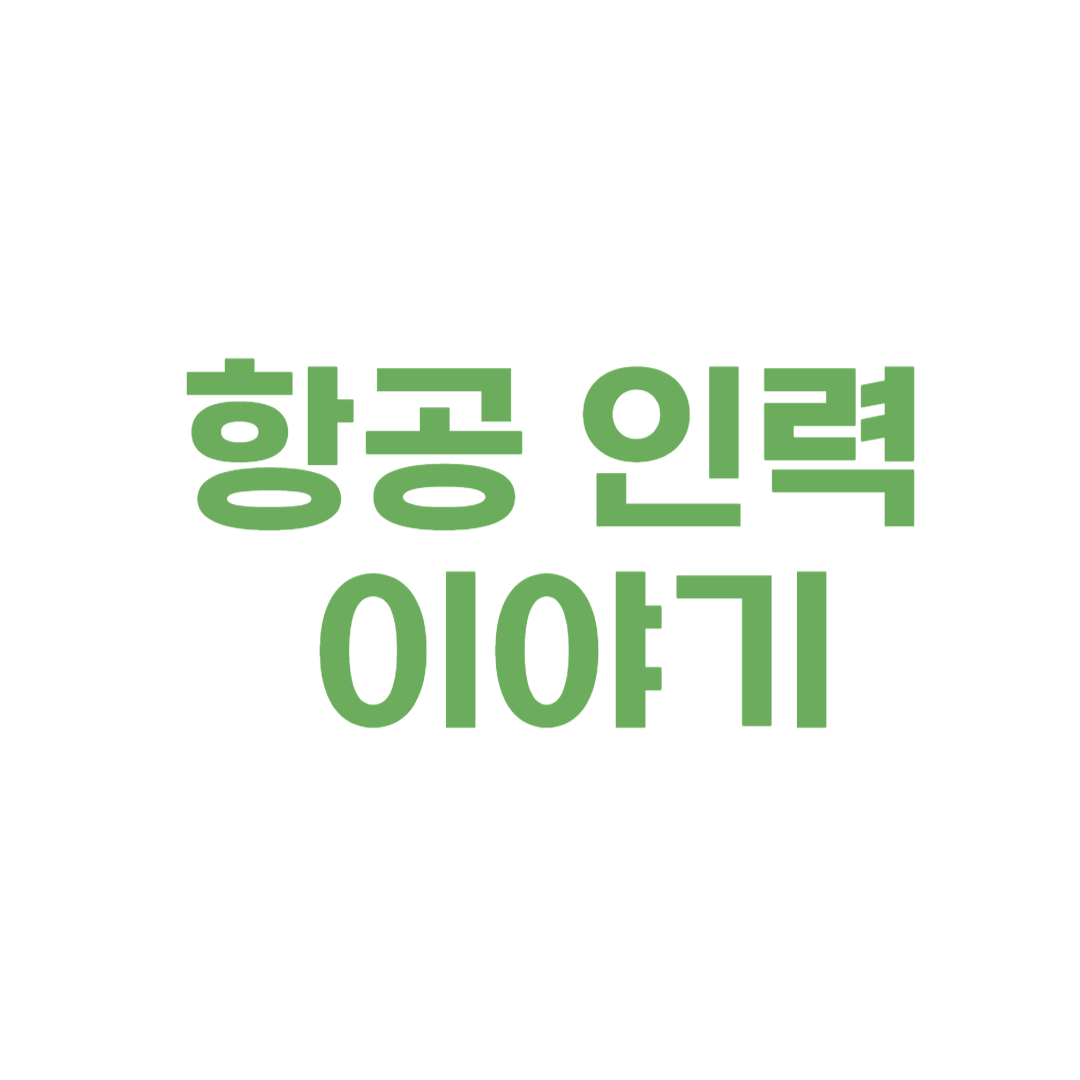 항공 인력 숫자에 관한 이야기