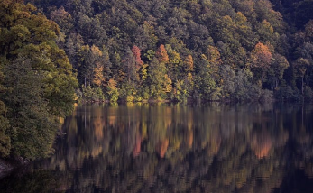 검버섯이 생기는 이유 총정리 14