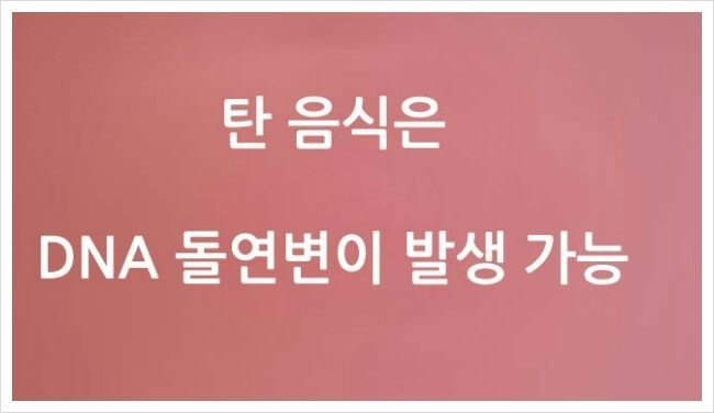 탄 음식은 DNA 돌연변이 요인