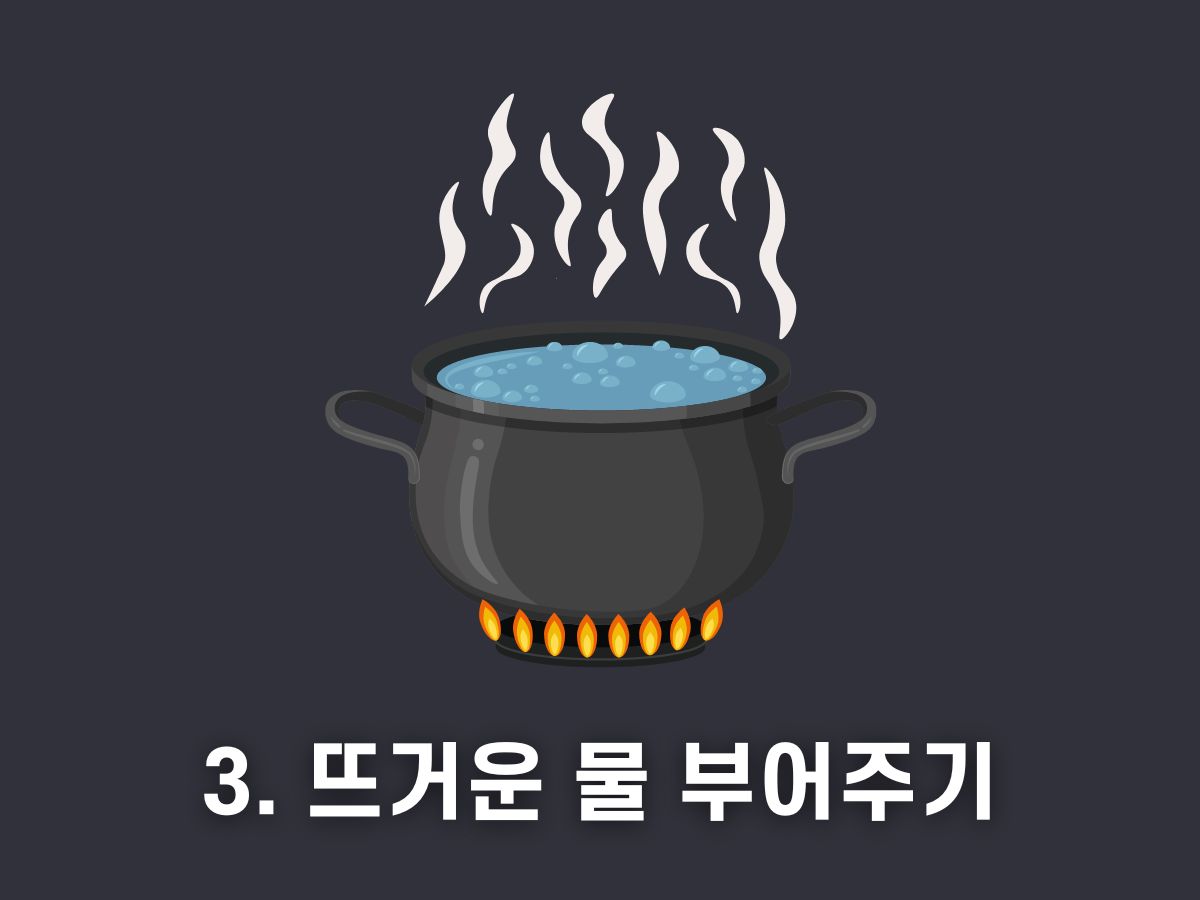 뜨거운 물 부어주기