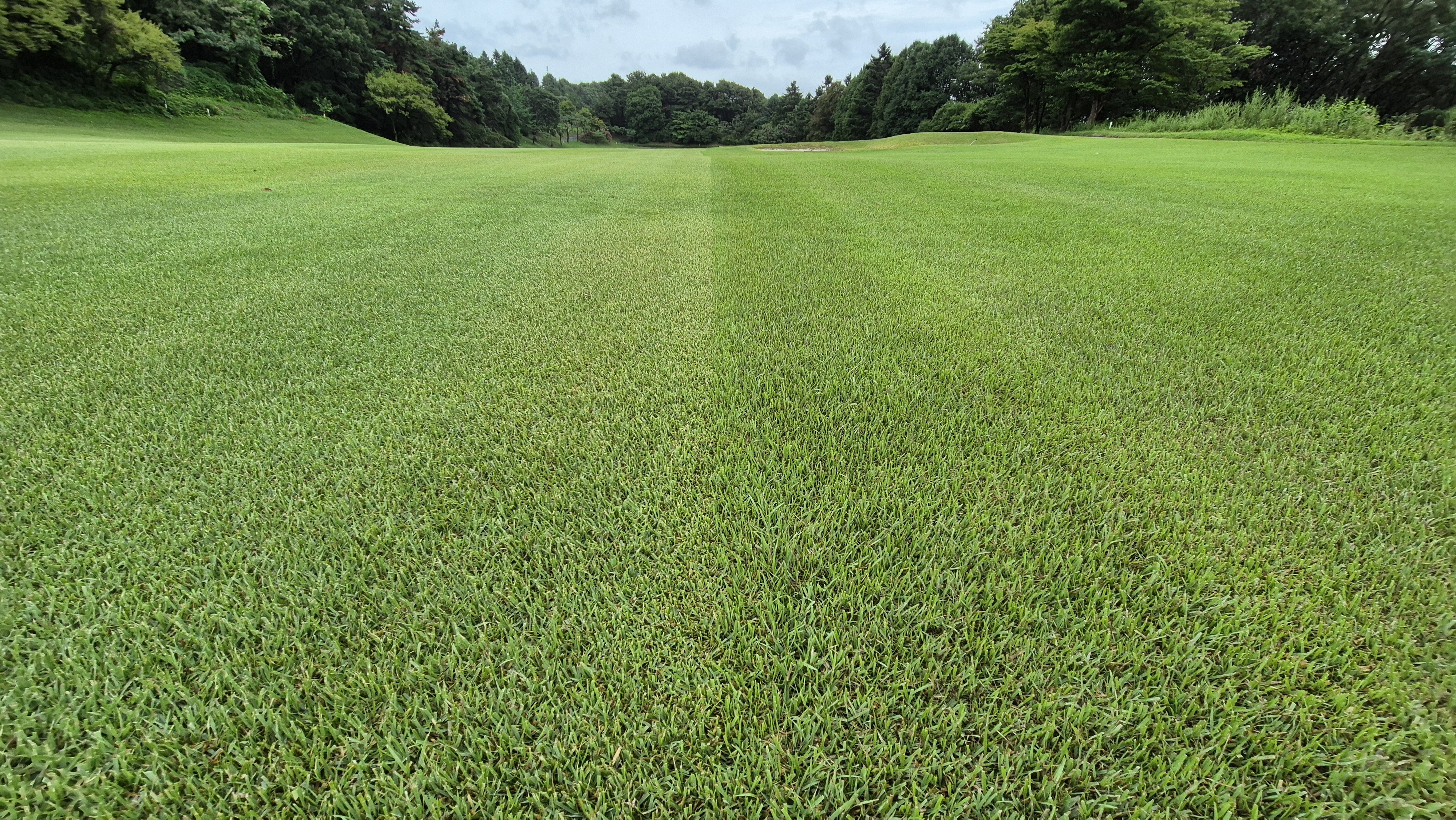 뉴서울cc 예술in-문화in 코스 라운드 후기