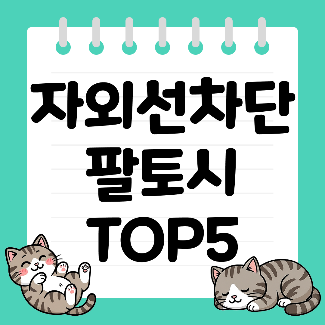 25년 9월 2주차 자외선차단 팔토시 추천 순위 TOP5