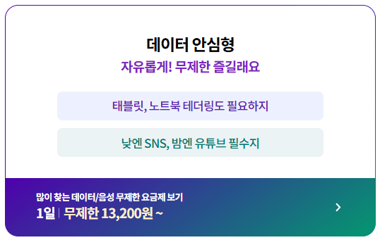 로밍 유심 휴대용 와이파이 차이점 lgu+