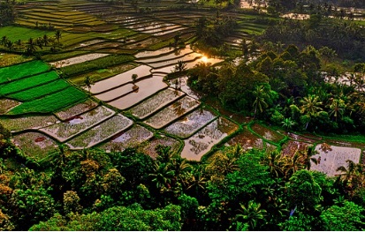 농지연금 가입조건 가입절차 및 제출서류