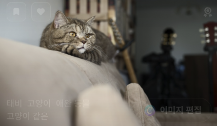 제품 비교 기준 관련 사진