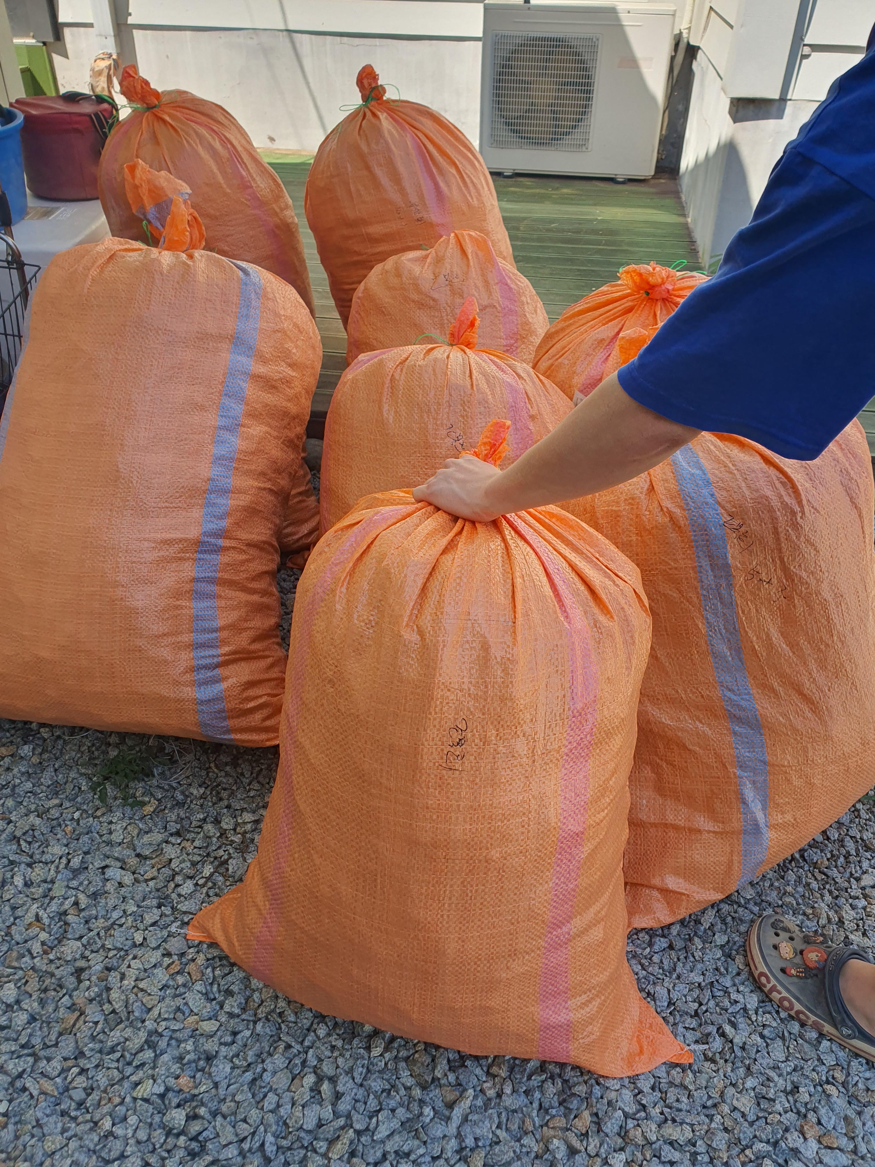 고추