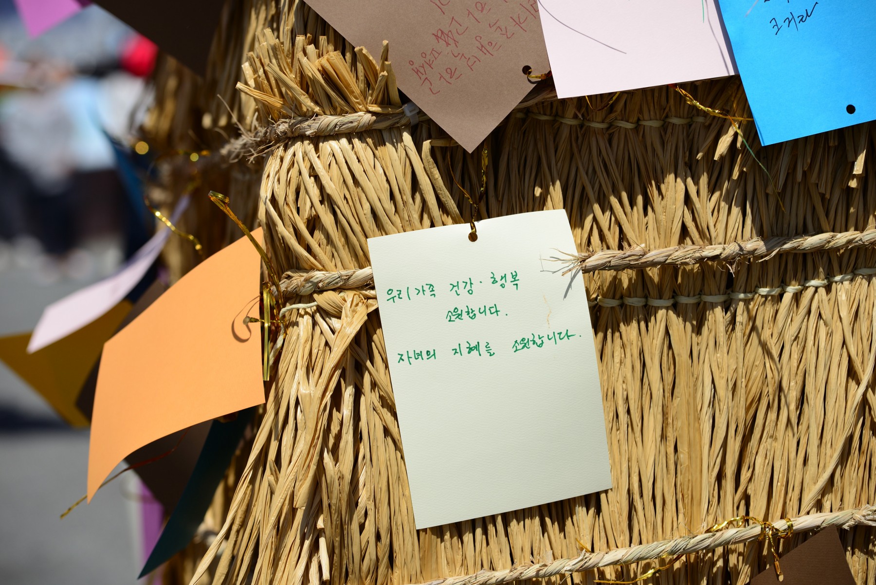 목포 유달산 축제