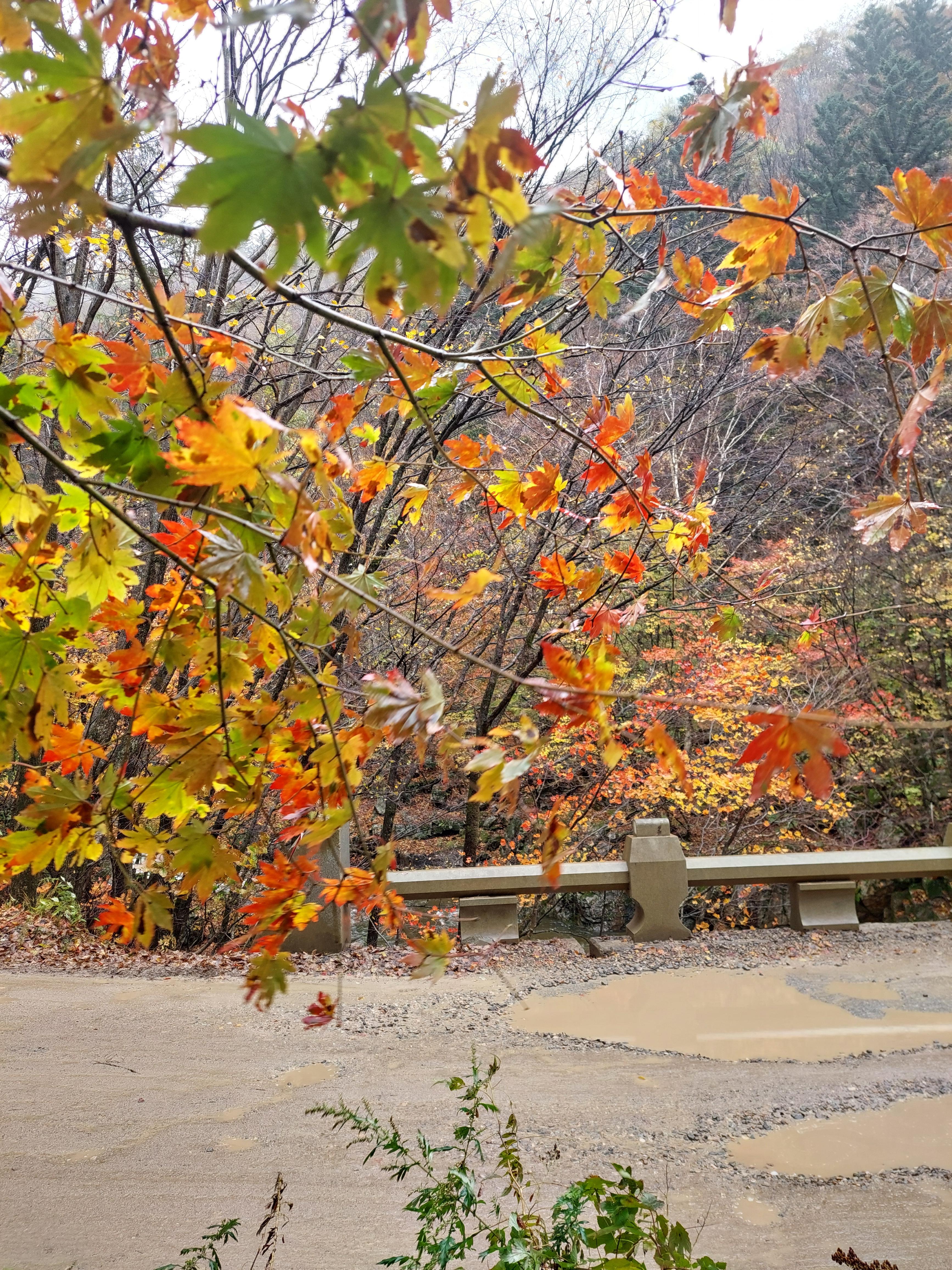 선재길