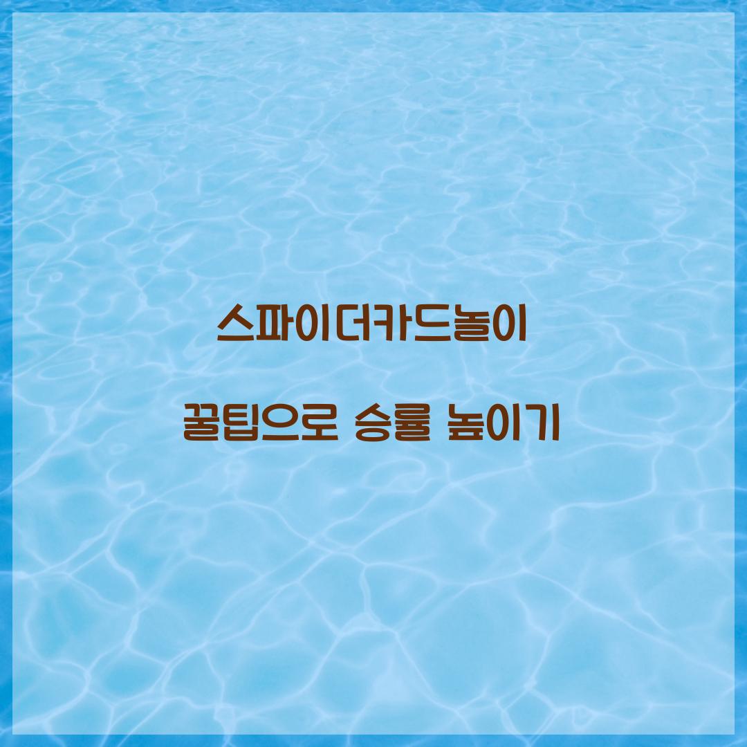 스파이더카드놀이