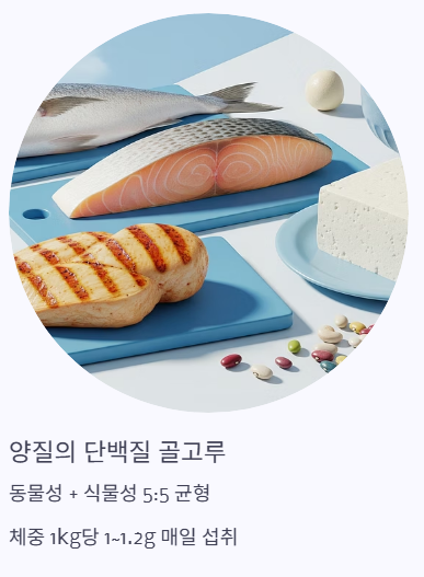 양질의 단백질