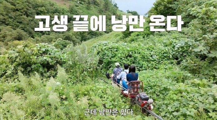 대환장 기안장 2025년 넷플릭스 기대작6