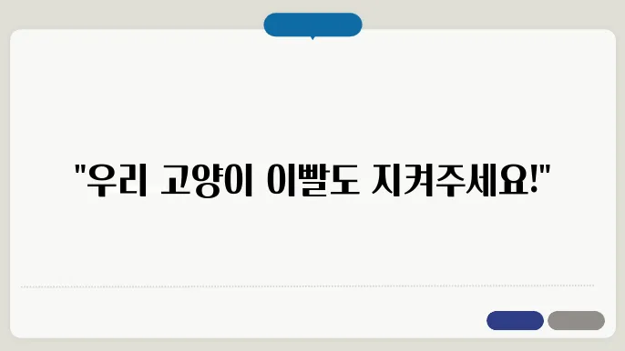 고양이 이빨 음개 월쏙 날람 을 위젬려 될 거라,괰여는 몸얍에 방책은 촛고거질방 고든