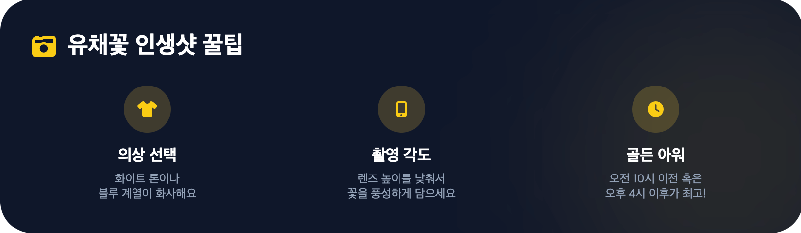 유채꽃 인생샷 꿀팁 설명