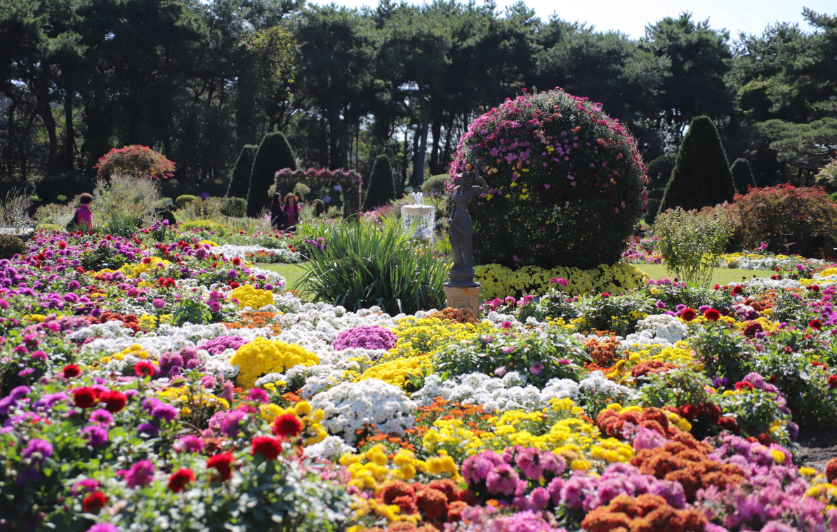벽초지수목원 가을